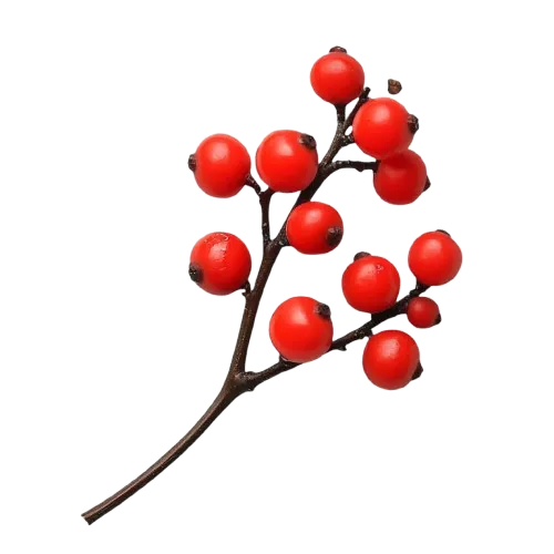 Stoffwechsel Aktivierung